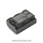 Batterie NP-FZ100 pour appareil photo SONY