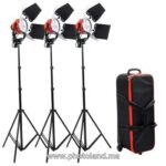 Kit 3 Mandarines LED 800W + pieds + sac de transport