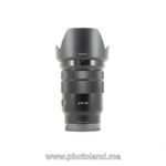 Sony E PZ 18-105mm f/4 G OSS